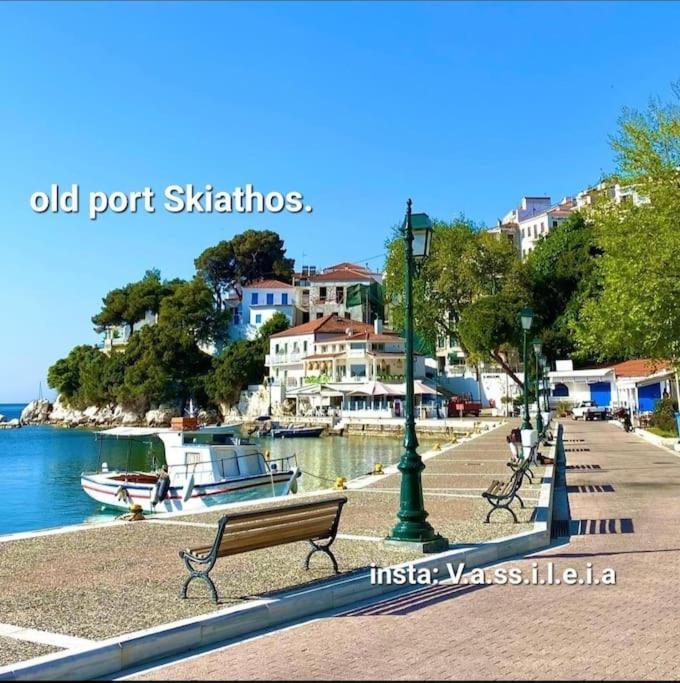 Skiathos Home With The Best View Città di Skiathos Esterno foto